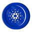 CIP-113 logo