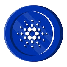 CIP-113